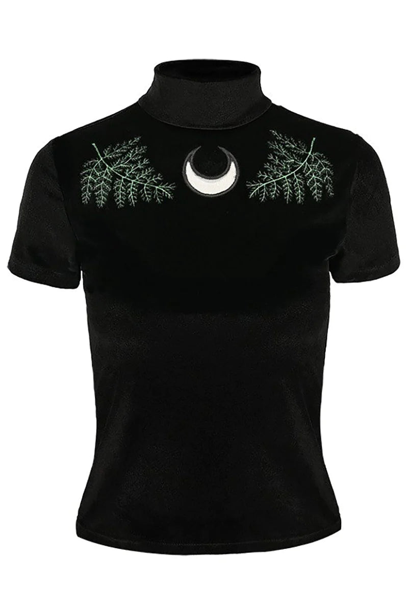 Fern Velvet Top